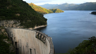 Les cormorans, la bête noire des pêcheurs du plus grand lac artificiel du Honduras