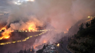 La pollution de l'air due aux incendies est liée à 1,5 million de décès par an