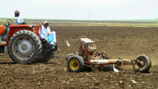 War decimates harvest in famine-threatened Sudan 