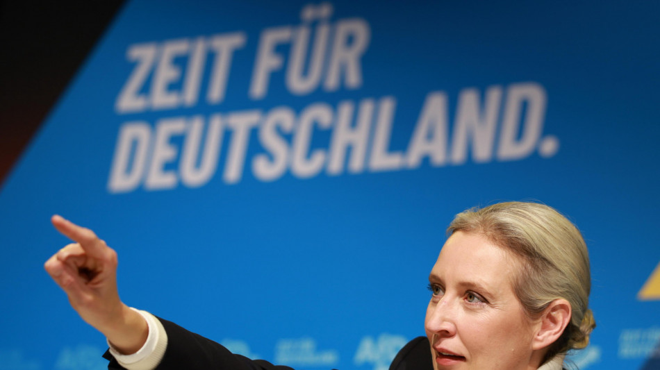  Weidel a Musk, 'Hitler un comunista antisemita, noi l'opposto' 