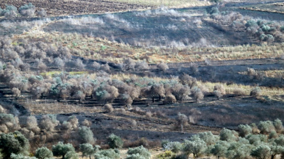 'War ruined me': Lebanon's farmers mourn lost season