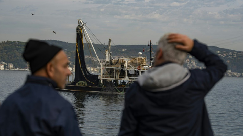 Surpêche, pollution, circulation: le Bosphore perd ses poissons