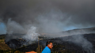 Portugal und Spanien kämpfen weiter gegen Waldbrände