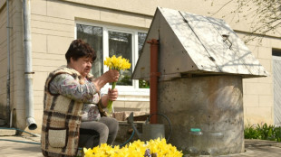 Dans l'Ukraine en guerre, le printemps prend des couleurs patriotiques