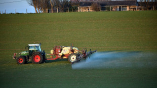 Du labo au champ: des pistes pour réduire les pesticides