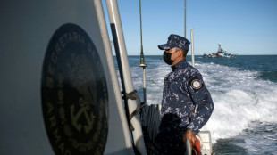 Mexico seeks 'miracle' to save near-extinct vaquita porpoise