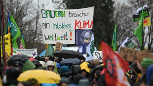 Reyertas en protesta ecologista con presencia de Greta Thunberg en Alemania