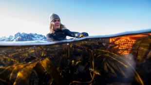 Dans le nord de la Norvège, les algues comme mets gastronomique