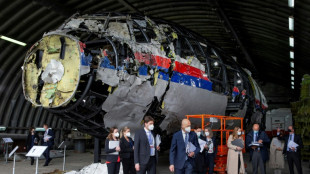 Trois hommes condamnés à perpétuité pour le crash du vol MH17 en 2014