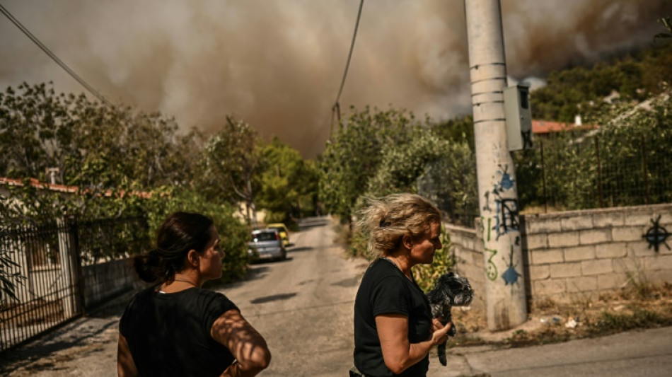 Los incendios en Grecia este verano dejarán más de 150.000 hectáreas quemadas