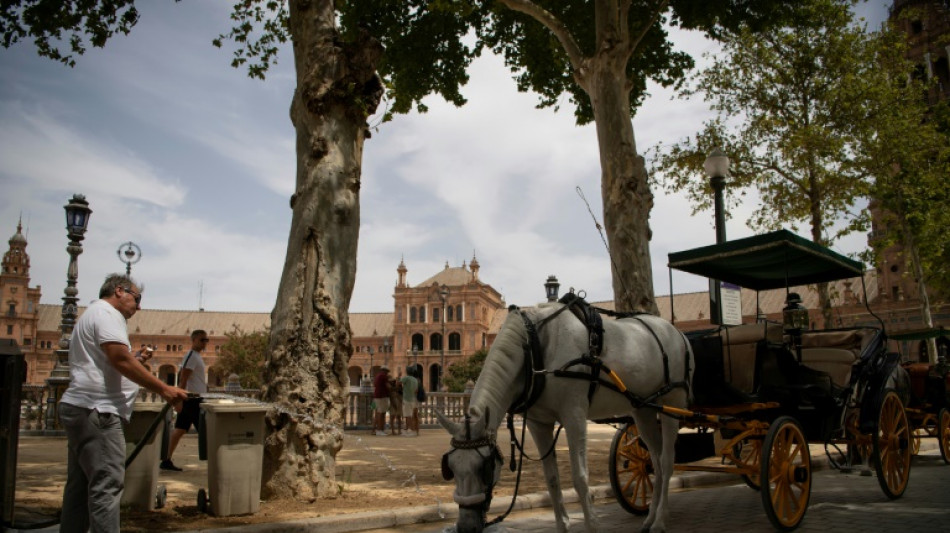 España, en alerta por temperaturas por encima de los 45 ºC