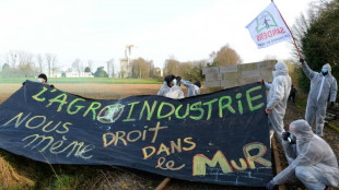 Agro-industrie: un train de céréales arrêté par des manifestants en Bretagne