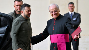 Zelensky meets Pope, Scholz as whirlwind Europe tour ends