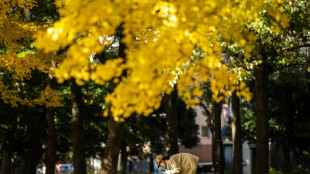 Japan witnesses warmest autumn on record