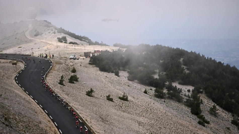 Après le Mont-Ventoux, la plaine des Maures ? Vers un 10e parc naturel régional en Paca