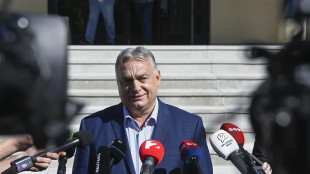 Orban, 'la pace in Ucraina dipende da elezioni europee e Usa'