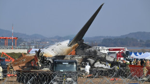 Autoridades sul-coreanas começam a remover restos do avião acidentado