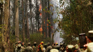 Equateur: la capitale Quito en "état d'urgence" face à 27 incendies de forêts