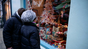 A Londres, une vitrine féerique où aucun jouet n'est à vendre 