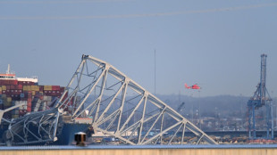 Port blocked by Baltimore bridge collapse is key hub for US shipping