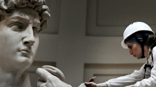 Michelangelo's David gets spa treatment in Florence