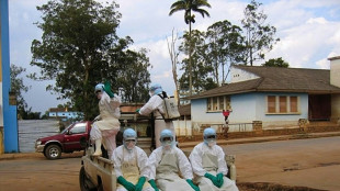 La OMS anuncia el fin de la epidemia del virus de Marburgo en Guinea Ecuatorial