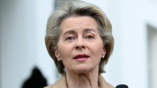 Von der Leyen verteidigt "grüne" Industriepläne gegen Kritik