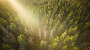 Lemke will bei UN-Biodiversitätskonferenz "verbindliche Ziele" erreichen