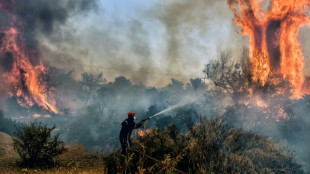 Grèce: les pompiers continuent la lutte contre les incendies