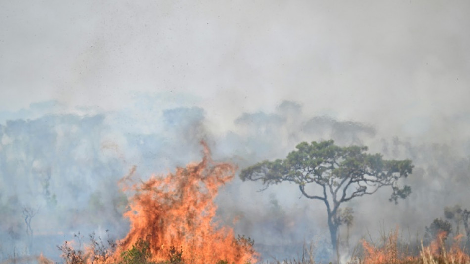 Entre pollution et incendies, le Brésil suffoque