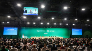 Nations to submit boosted climate plans: what's at stake?