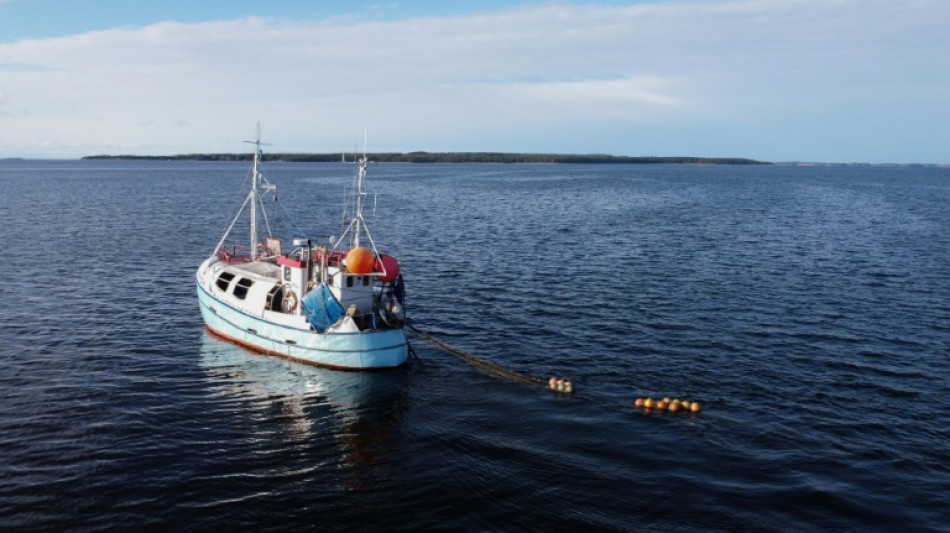 Reoxigenar el mar Báltico, un ambicioso proyecto climático