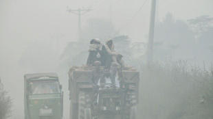 Pakistan's Punjab province shuts schools in smog-hit main cities