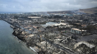 2023 provavelmente será o ano mais quente da história