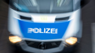 25-Jähriger liefert sich spektakuläre Verfolgungsjagd mit Berliner Polizei