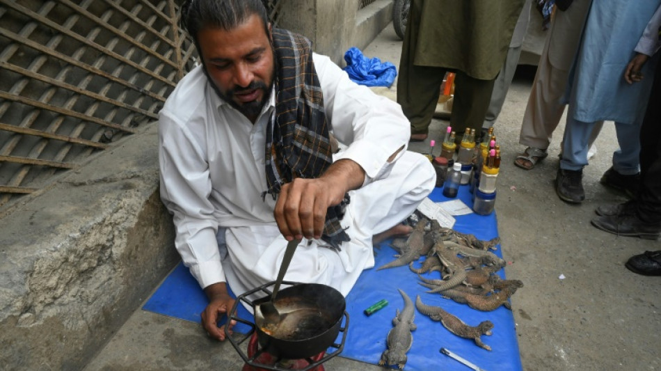 Au Pakistan, des hommes misent sur un élixir à base de gras de lézard pour doper leur libido