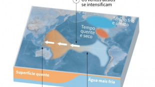 ONU pede financiamento para preparar agricultores para efeitos do La Niña