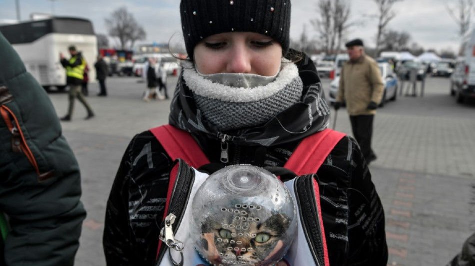 'We couldn't leave them': Ukraine refugees flee with pets in tow