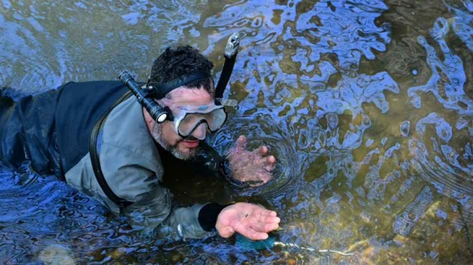 En Californie, les pluies abondantes ravivent le souvenir de la ruée vers l'or