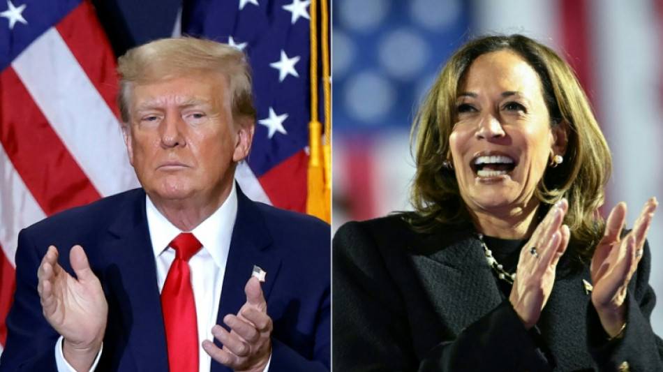  Harris or Trump? US election heads for cliffhanger 