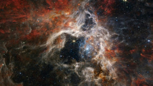 Telescopio Webb captura nuevos detalles de la nebulosa Tarántula