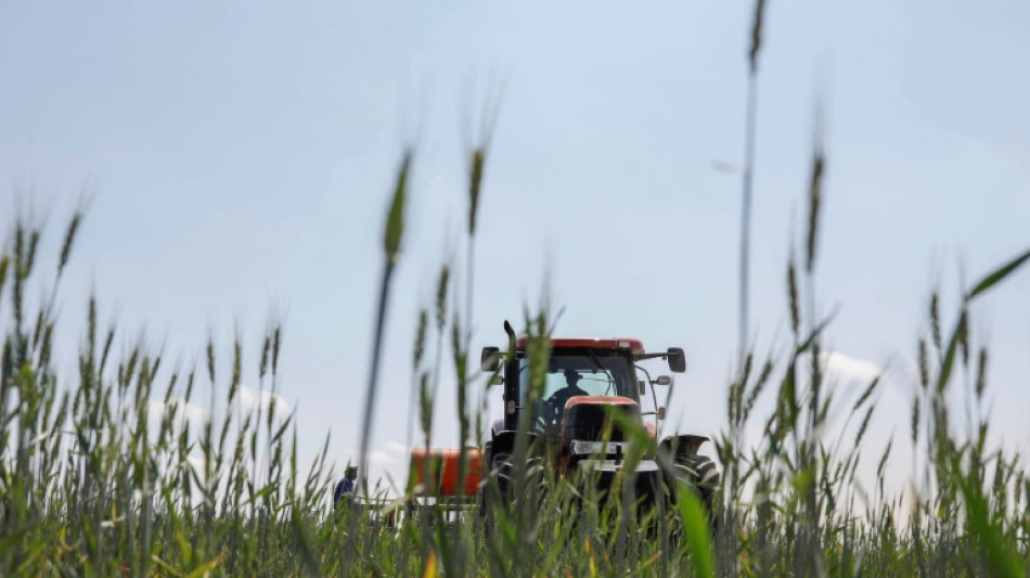 Einkommen und Betriebsgewinne von Landwirten steigen deutlich