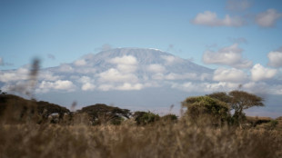 Tanzanie: l'incendie sur le Kilimandjaro est "maîtrisé"