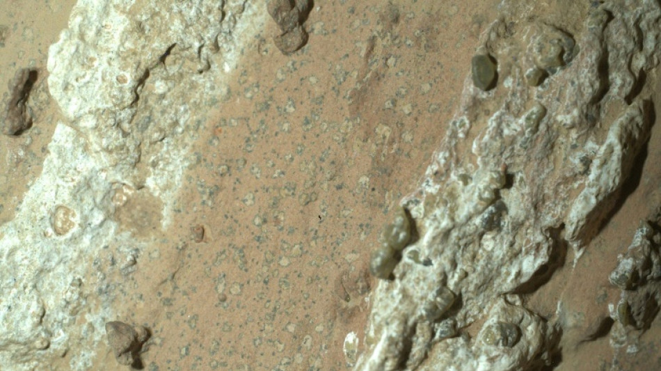 NASA Mars rover captures rock that could hold fossilized microbes