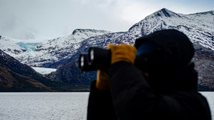 La alerta temprana del cambio climático suena en los bosques del fin del mundo